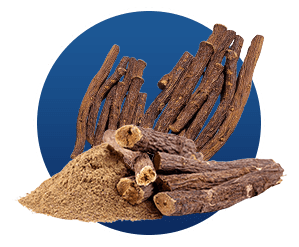 Licorice Root