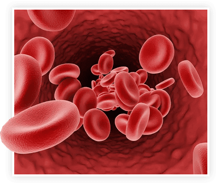 How ProstaVive works graphic - Step 1