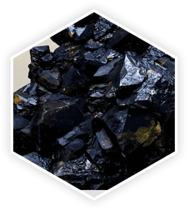 Saw Palmetto extract